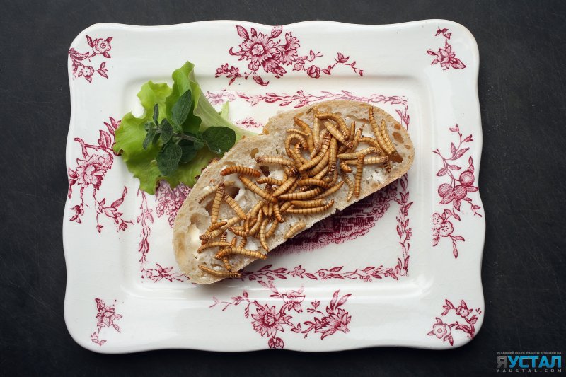 картинка 1400251032 3