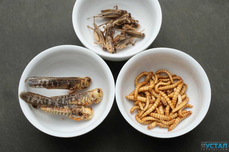 картинка 1400251144 7