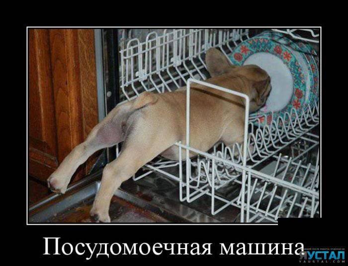 1413397469 demotivatory 23