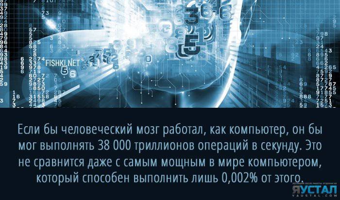 Операции в секунду. Компьютер операций в секунду. Мозг мощный мозг самый мощный. Сколько миллионов операций в секунду выполняет человеческий мозг. Сколько операций в секунду выполняет мозг и как это работает.