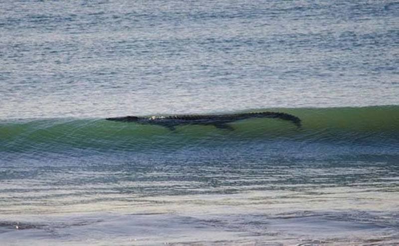 Australia: Continente mortal