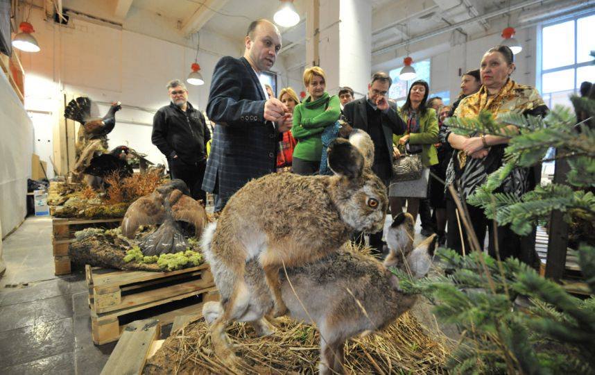 Выставка животных. Ярмарка животных. Животные на выставке. Выставка фотографий животных. Выставка Глазков Павел.