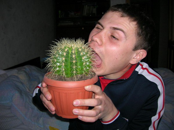 чудики из социальных сетей, вестник социальных сетей 17.07.2017