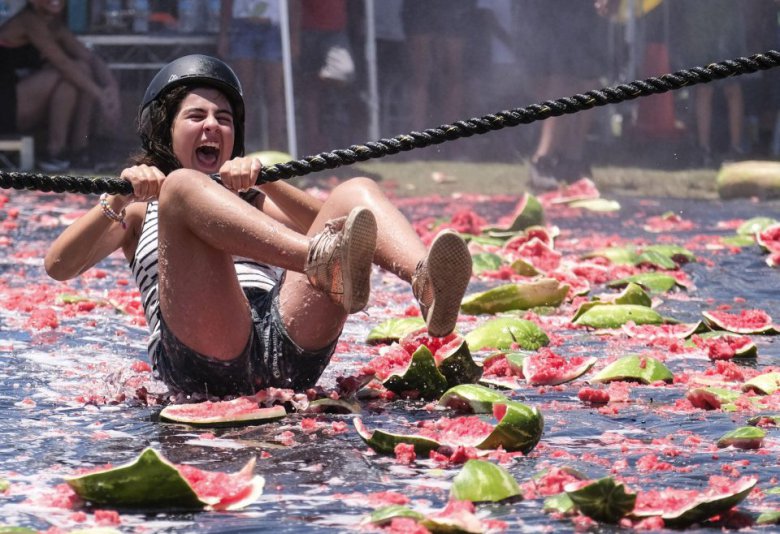 картинка 1501564357 festival arbuzov v kalifornii 4