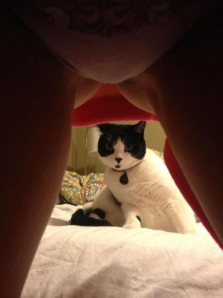 чудики из социальных сетей, вестник социальных сетей 06.09.2017