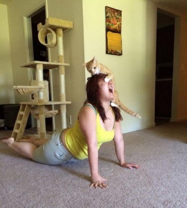 ЧУДИКИ ИЗ СОЦИАЛЬНЫХ СЕТЕЙ, ВЕСТНИК СОЦИАЛЬНЫХ СЕТЕЙ 19.10.2017