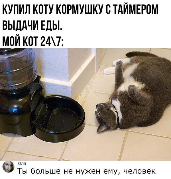 смешные комментария