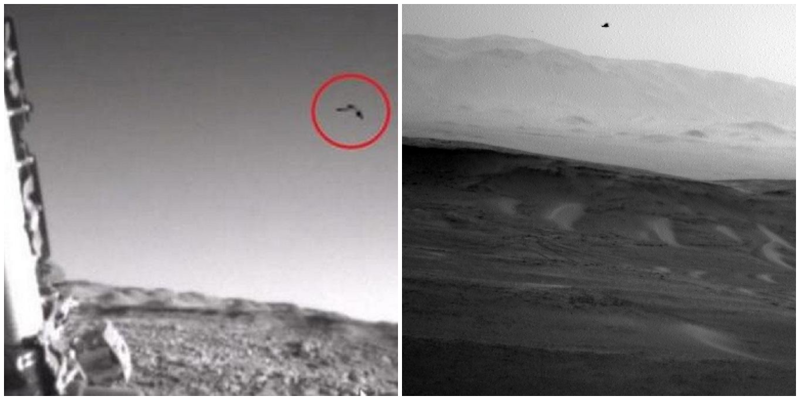 На Марсе замечена птица в полете.