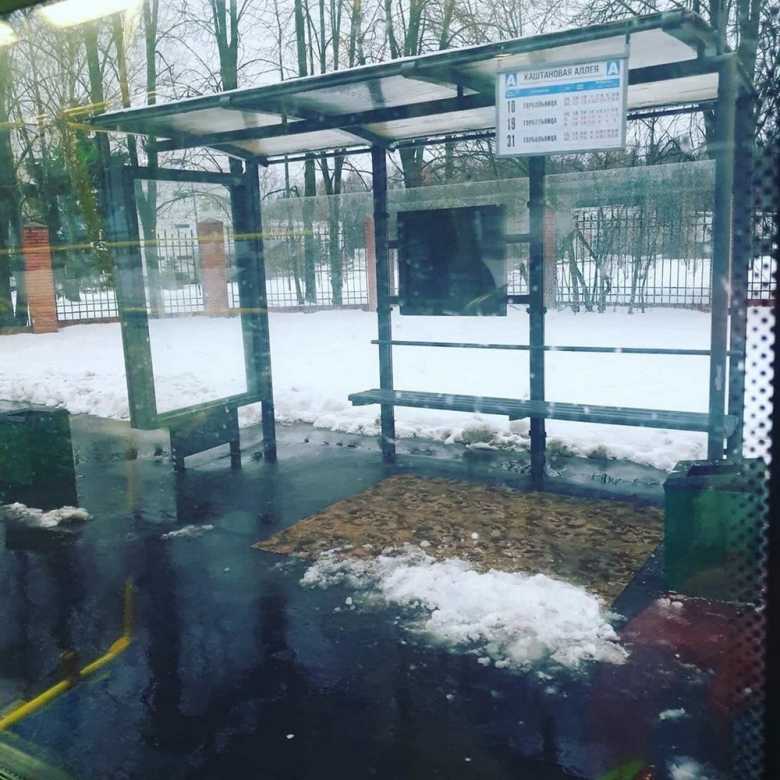 приколы из России