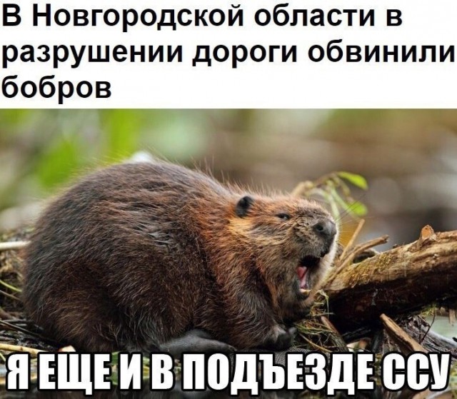 Подборка самых лучших приколов, часть 318 Подборка самых лучших приколов, часть 318 Юмор