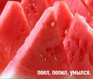 Самые прикольные картинки Самые прикольные картинки Юмор