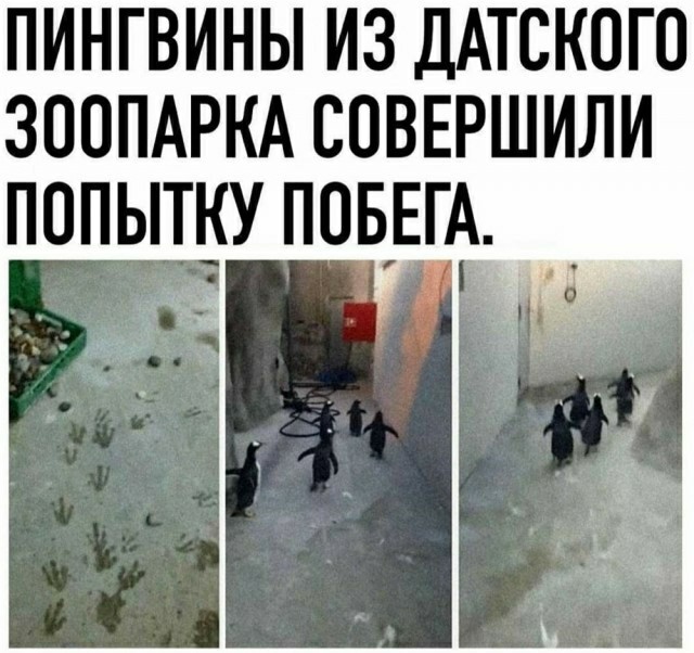 Прикольные картинки, новая подборка Прикольные картинки, новая подборка Юмор