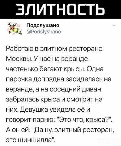 Смешные картинки для настроения Юмор