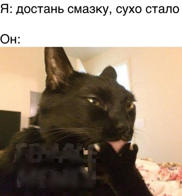 Смешные картинки для настроения Юмор