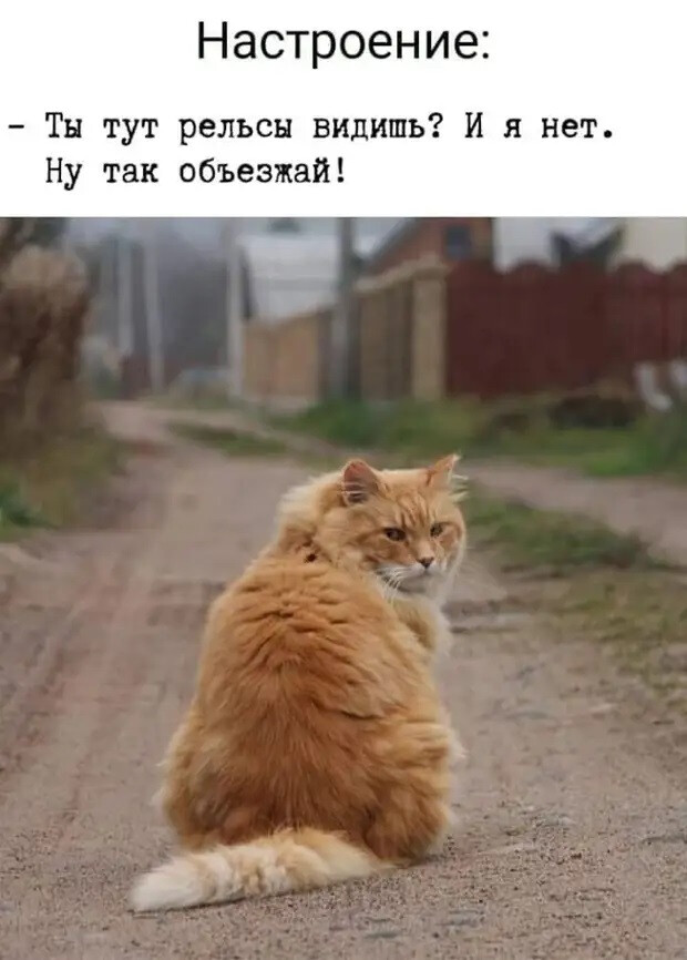 Подборка смешных картинок на начало недели Подборка смешных картинок на начало недели Юмор