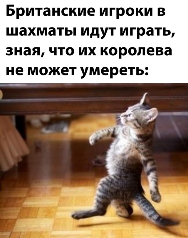 Свежая подборка юмора Свежая подборка юмора Юмор