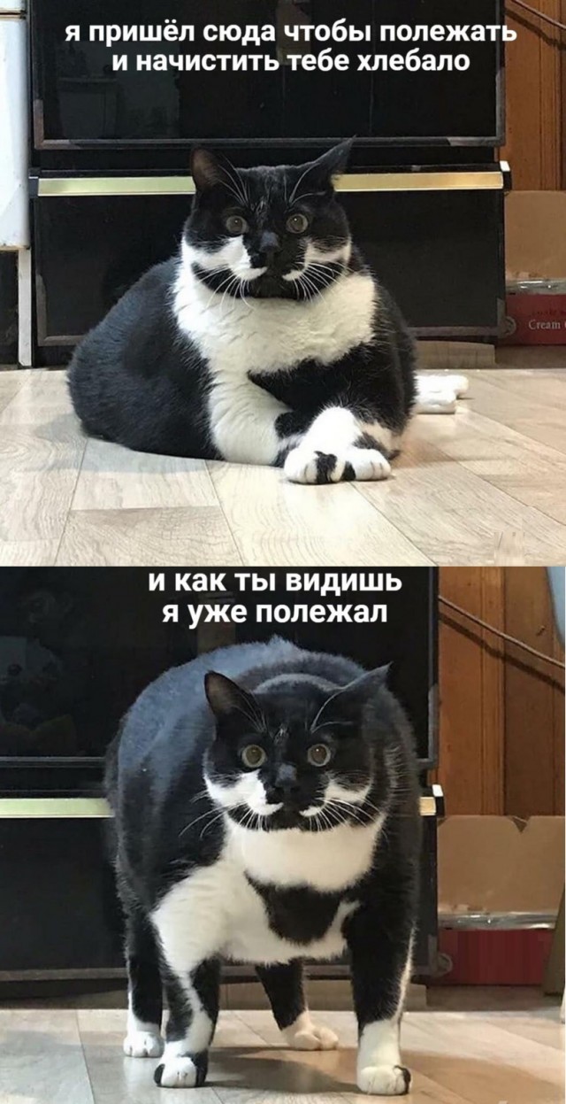 Свежая подборка юмора Свежая подборка юмора Юмор
