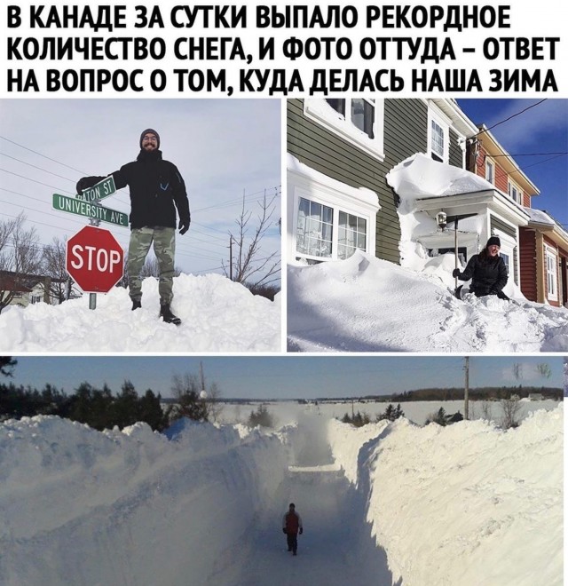 Свежая подборка юмора Свежая подборка юмора Юмор