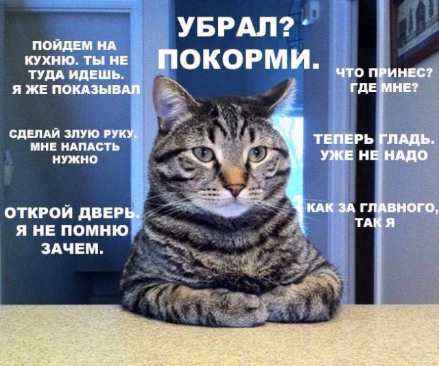 Свежая подборка юмора Свежая подборка юмора Юмор