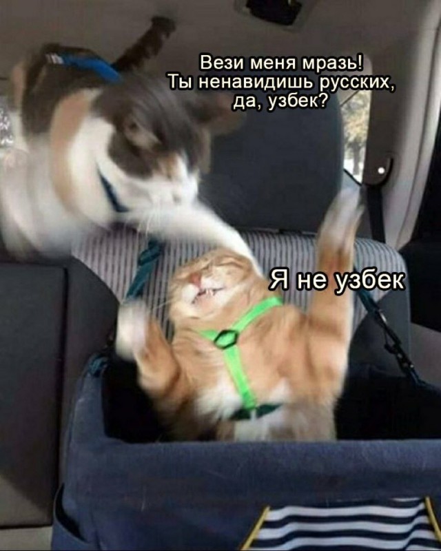 Свежая подборка юмора Свежая подборка юмора Юмор