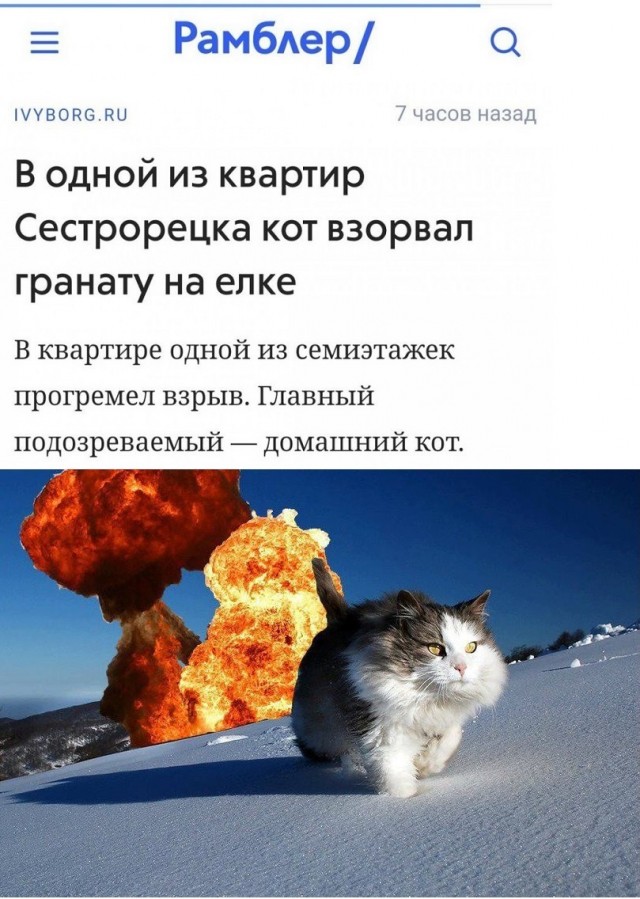Свежая подборка юмора Свежая подборка юмора Юмор