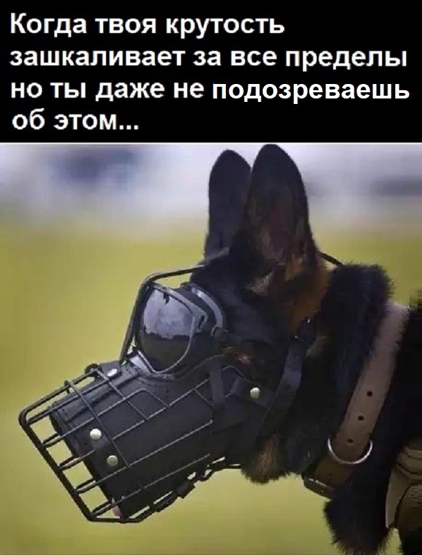 Смешные и позитивные картинки Смешные и позитивные картинки Юмор