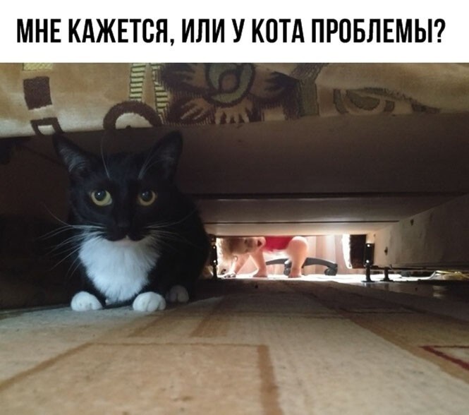 Смешные и позитивные картинки Смешные и позитивные картинки Юмор