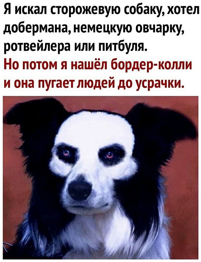 Смешные и позитивные картинки Смешные и позитивные картинки Юмор