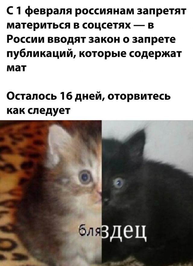Смешные и позитивные картинки Смешные и позитивные картинки Юмор