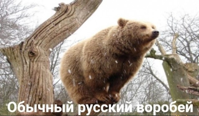 Смешные и позитивные картинки Смешные и позитивные картинки Юмор