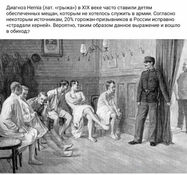 Смешные и позитивные картинки Смешные и позитивные картинки Юмор