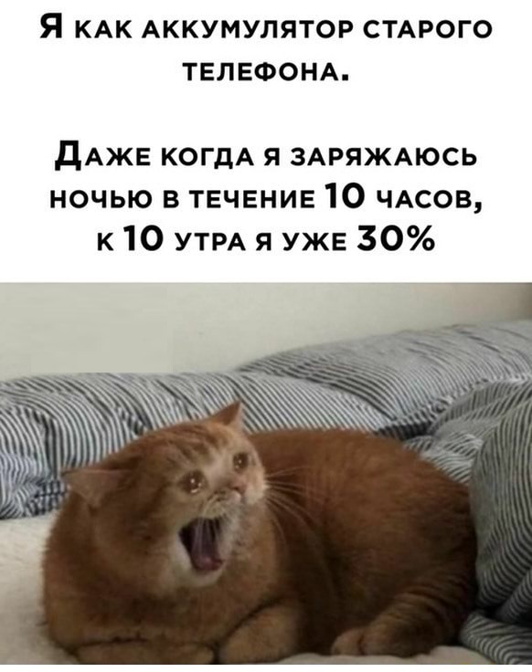 Смешные и позитивные картинки Смешные и позитивные картинки Юмор
