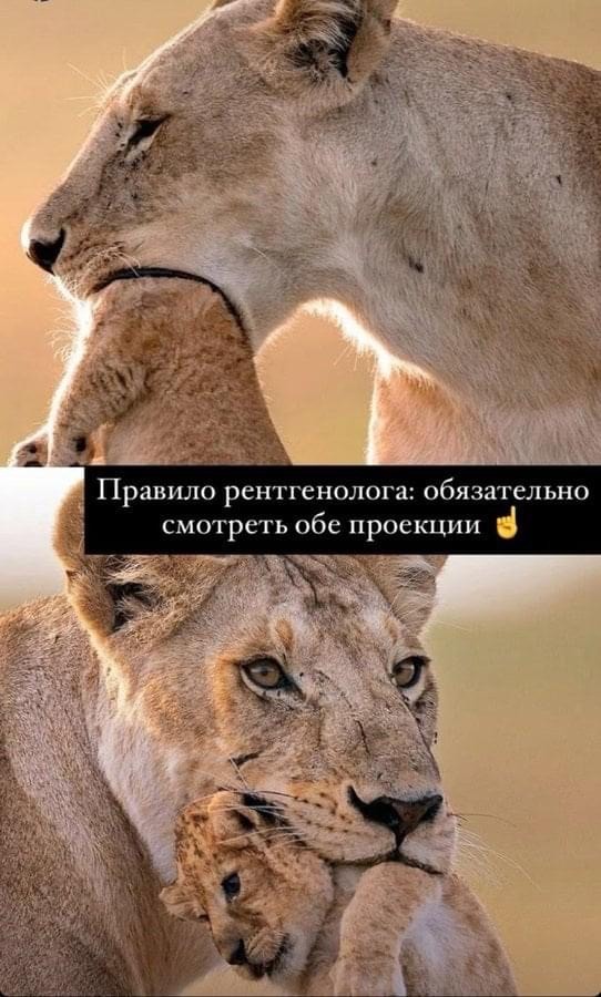 Подборка свежих и познавательных картинок Подборка свежих и познавательных картинок Юмор