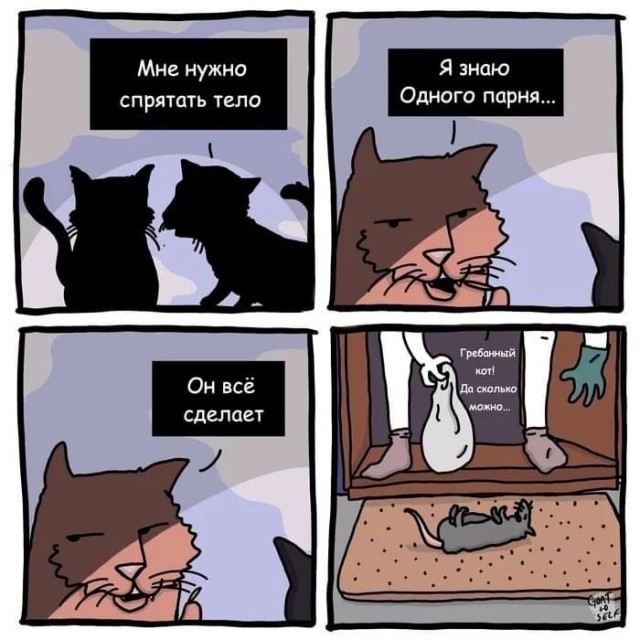 Подборка свежих и познавательных картинок Подборка свежих и познавательных картинок Юмор