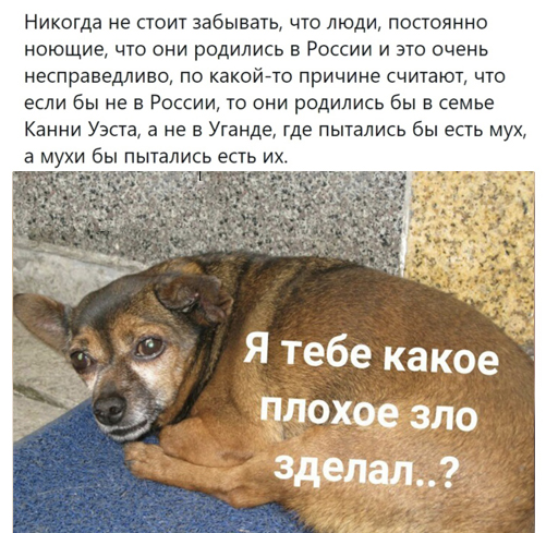 Подборка свежих и познавательных картинок Подборка свежих и познавательных картинок Юмор