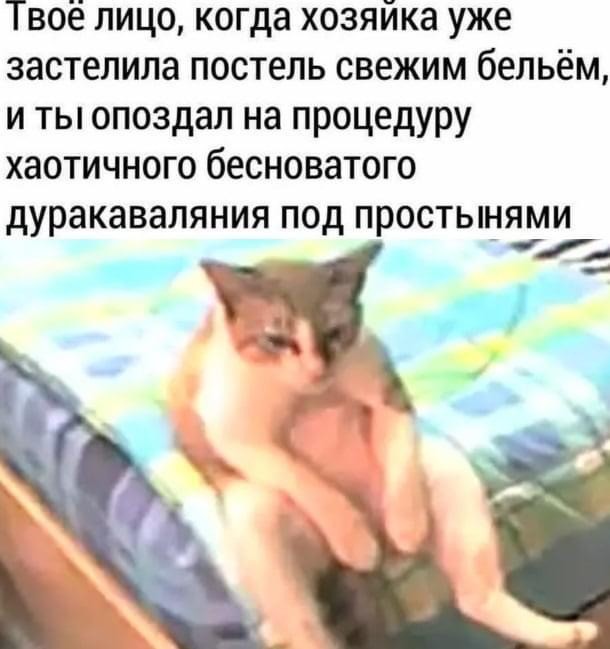 Подборка свежих и познавательных картинок Подборка свежих и познавательных картинок Юмор