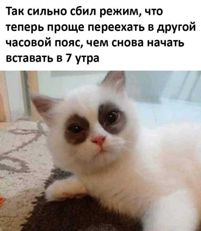 Подборка свежих и познавательных картинок Подборка свежих и познавательных картинок Юмор