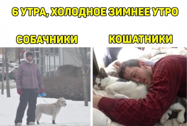 Подборка свежих и познавательных картинок Подборка свежих и познавательных картинок Юмор