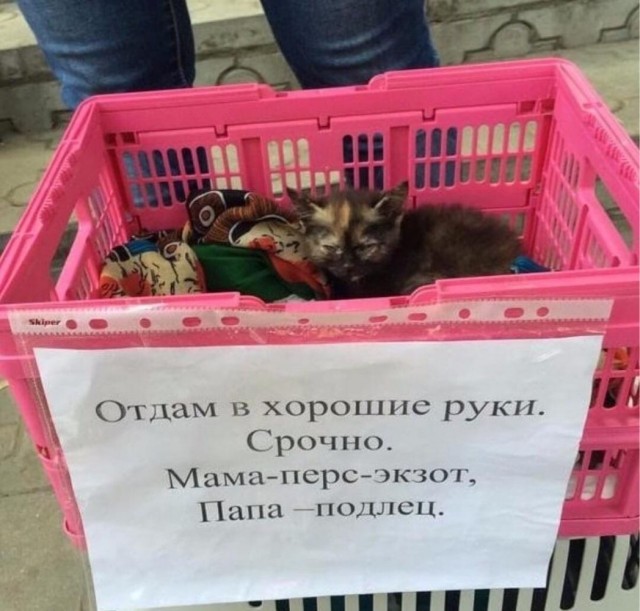 Подборка свежих и познавательных картинок Подборка свежих и познавательных картинок Юмор