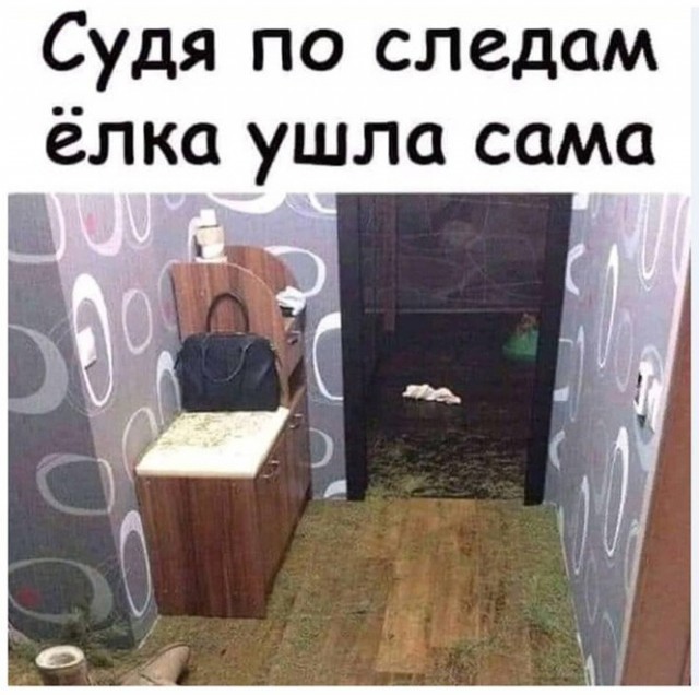 Новые прикольные картинки и фото с юмором Юмор