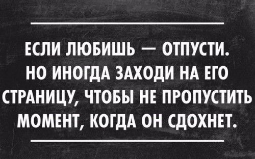 Свежие прикольные картинки с надписями для поднятия настроения Юмор