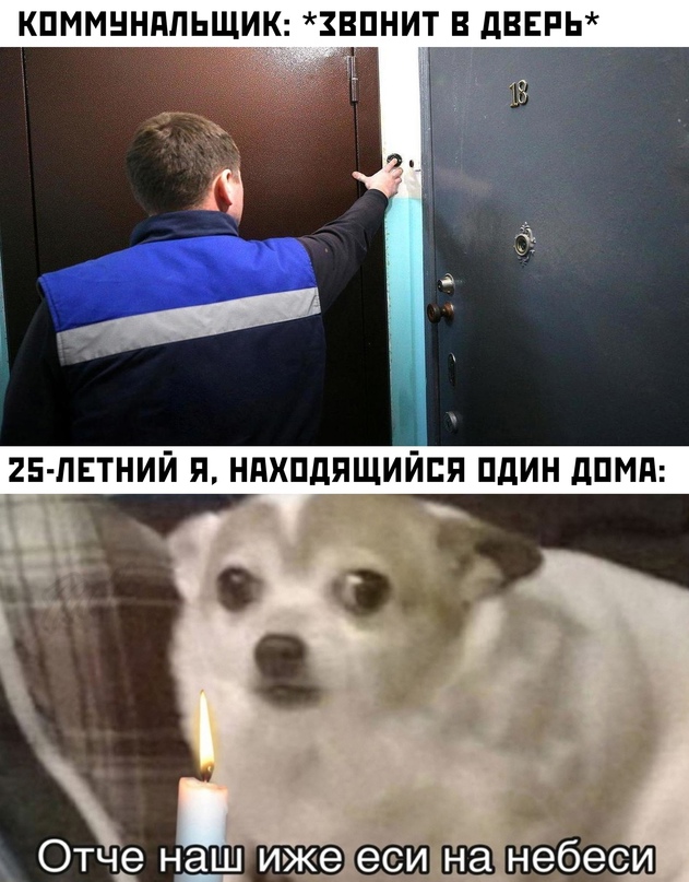Лучшие картинки для настроения Лучшие картинки для настроения Юмор