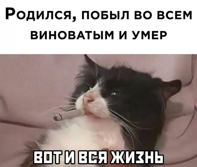 Лучшие картинки для настроения Лучшие картинки для настроения Юмор