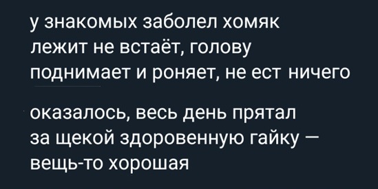 Лучшие картинки для настроения Лучшие картинки для настроения Юмор