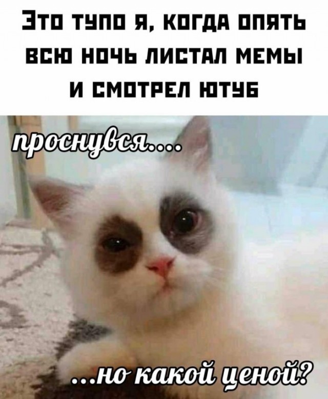 Лучшие картинки для настроения Лучшие картинки для настроения Юмор