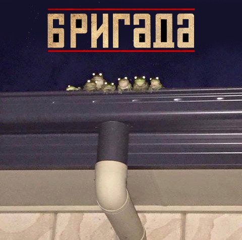 Лучшие картинки для настроения Лучшие картинки для настроения Юмор