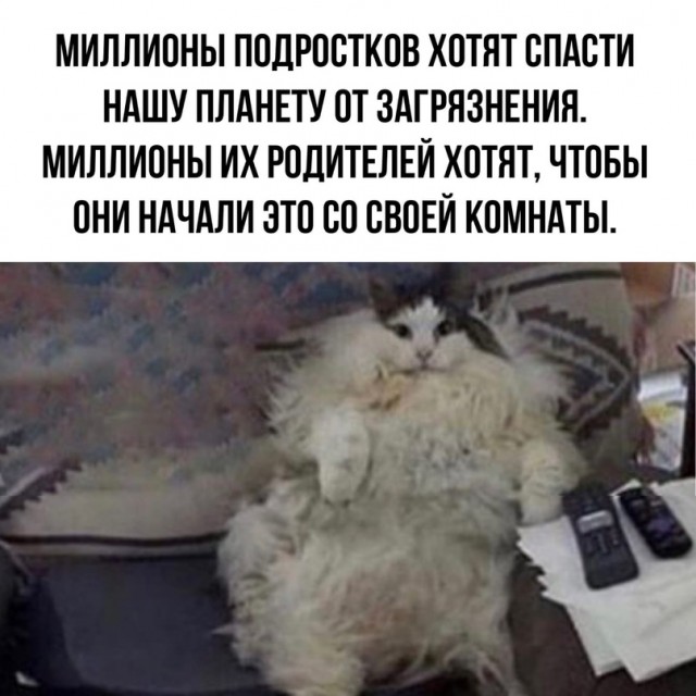 Лучшие картинки для настроения Лучшие картинки для настроения Юмор