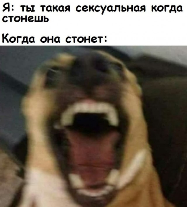 Лучшие картинки для настроения Лучшие картинки для настроения Юмор