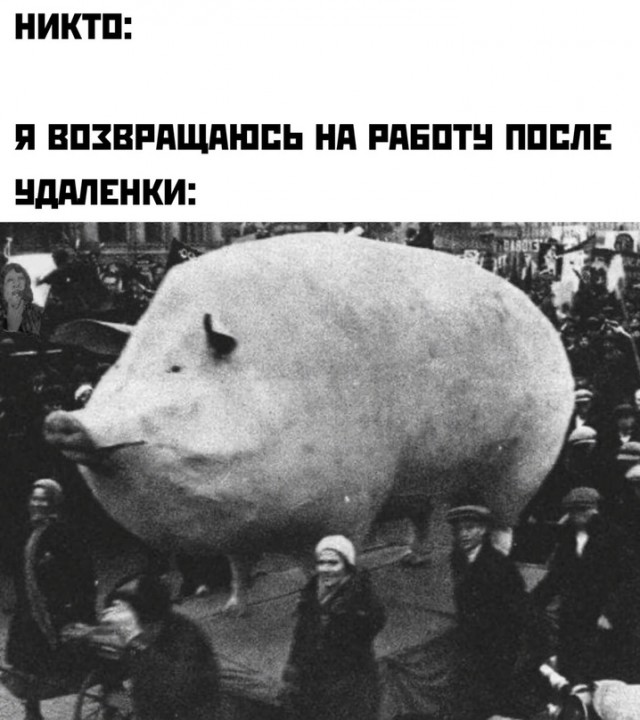 Лучшие картинки для настроения Лучшие картинки для настроения Юмор