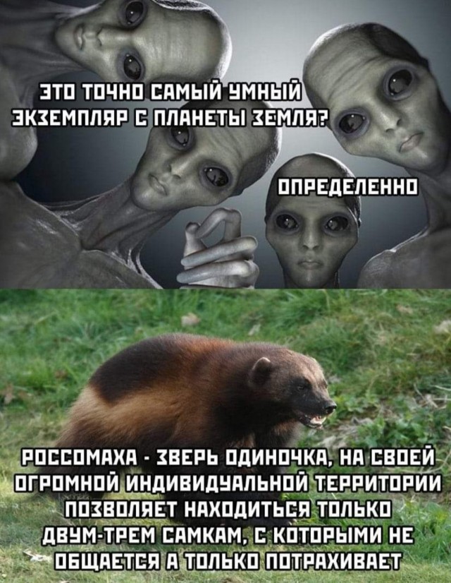 Свежий юмор Юмор